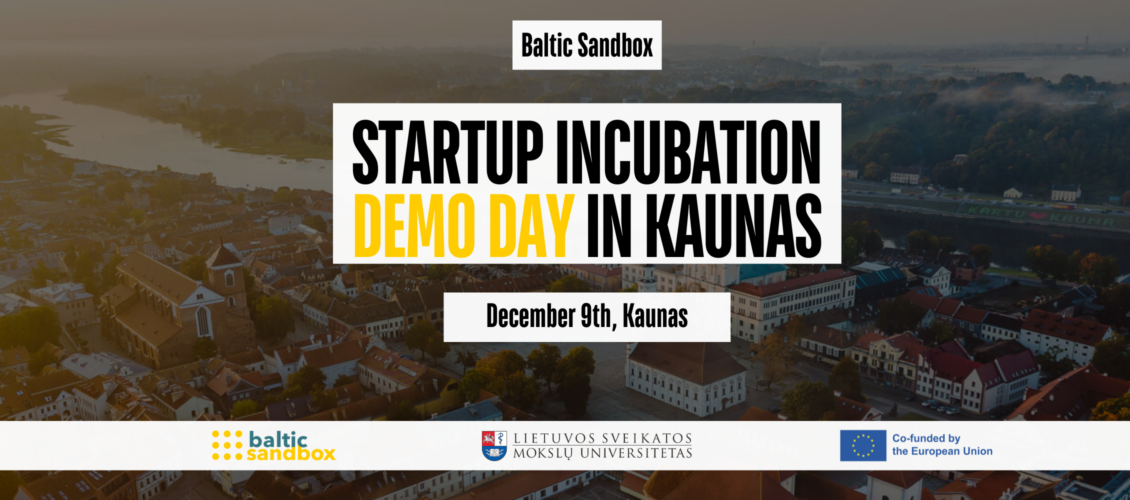 Demo-Day-Startup-Lithuania.png
